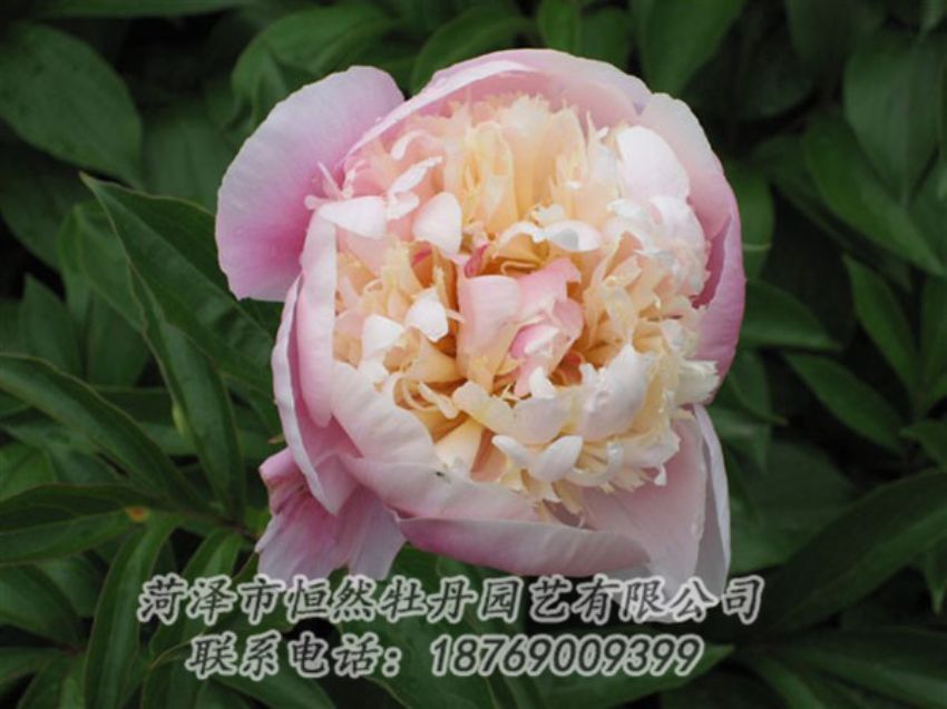 點擊查看詳細信息<br>標題：湖光山色 閱讀次數(shù)：1252
