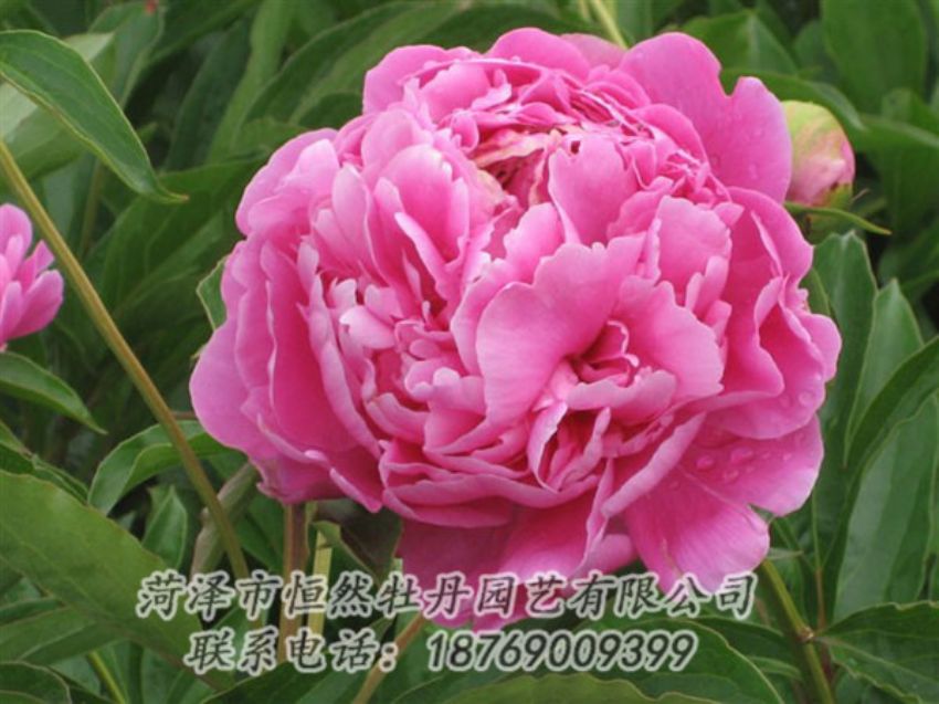點擊查看詳細信息<br>標題：月照山河 閱讀次數(shù)：1045